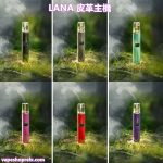 LANA皮革主機-6